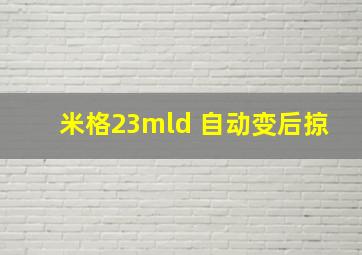 米格23mld 自动变后掠